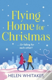 Capa do artigo Flying Home For Christmas