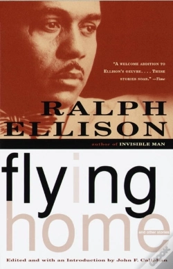 Capa do artigo Flying Home