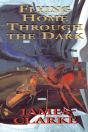 Flying Home Through The Dark - Preview