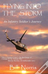 Flying Into The Storm