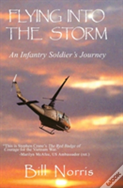 Capa do artigo Flying Into The Storm