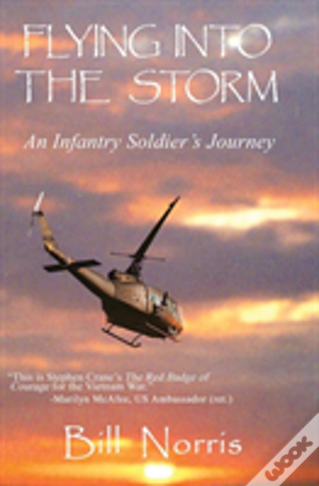 Flying Into The Storm