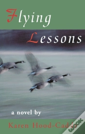 Capa do artigo Flying Lessons