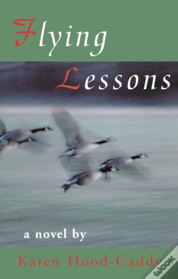 Capa do artigo Flying Lessons