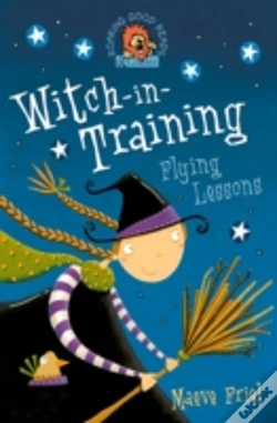 Capa do artigo Flying Lessons