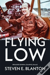 Capa do artigo Flying Low