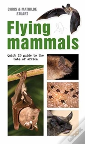 Flying Mammals