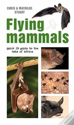 Capa do artigo Flying Mammals