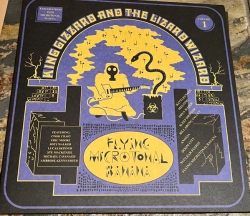 Capa do artigo Flying Microtonal Banana (Explorations Into Microtonal Tuning Volume 1) - Vinil