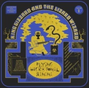 Capa do artigo Flying Microtonal Banana - Vinil