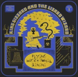 Capa do artigo Flying Microtonal Banana - Vinil