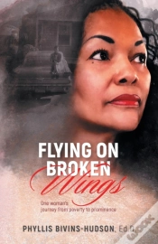 Capa do artigo Flying On Broken Wings