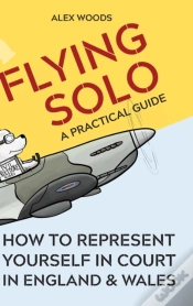 Capa do artigo Flying Solo