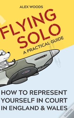 Capa do artigo Flying Solo