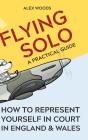 Flying Solo - Preview