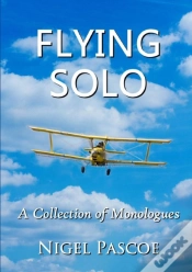 Capa do artigo Flying Solo