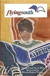 Capa do artigo Flying South 2019