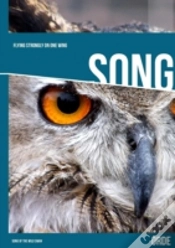 Capa do artigo Flying Strongly On One Wing