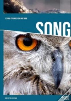 Capa do artigo Flying Strongly On One Wing