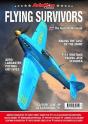 Flying Survivors - Ww2 Aircraft In - Preview