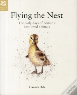 Capa do artigo Flying The Nest