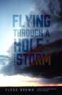 Flying Through A Hole In The Storm - Preview