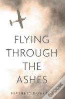 Flying Through The Ashes