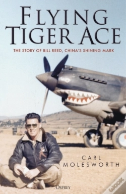 Capa do artigo Flying Tiger Ace