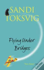 Capa do artigo Flying Under Bridges