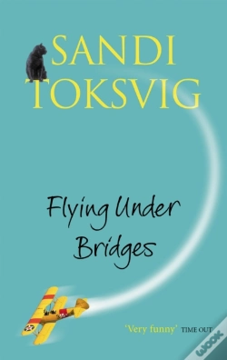 Capa do artigo Flying Under Bridges