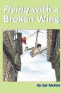 Flying With A Broken Wing - Preview