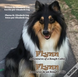 Capa do artigo Flynn