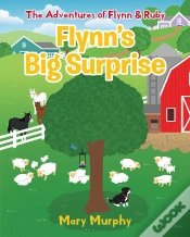 Capa do artigo Flynn