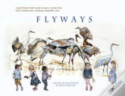 Capa do artigo Flyways
