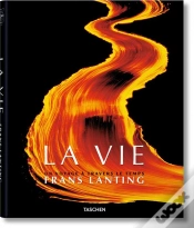 Capa do artigo Fo-25 Lanting  Life