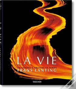 Capa do artigo Fo-25 Lanting  Life