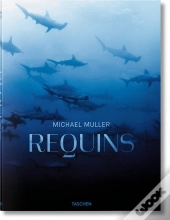 Fo-Sharks, F
