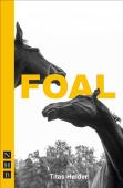 Foal