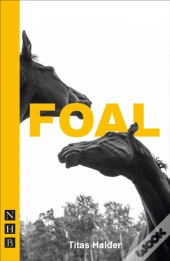Foal