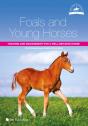 Foals And Young Horses - Preview