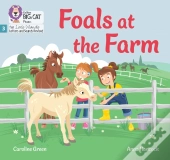 Foals At The Farm