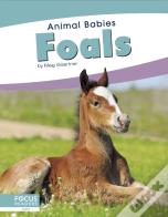 Foals