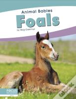 Foals
