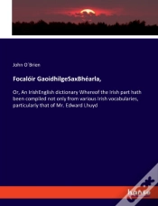 Capa do artigo Focaloir Gaoidhilgesaxbhearla,