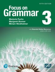 Focus On Grammar 3