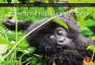 Focus On Photoshop Lightroom - Preview
