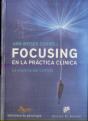 Focusing En La Práctica Clínica. La Esencia Del Cambio - Preview