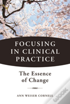 Focusing In Clinical Practice