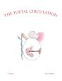 Foetal Circulation - Preview