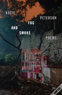 Capa do artigo Fog And Smoke